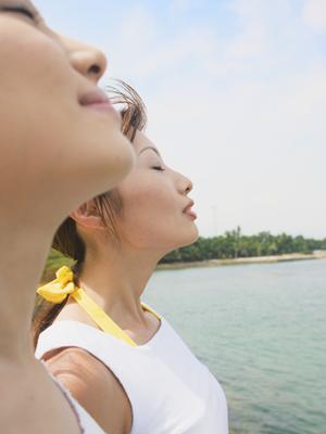 東横INN徳島駅前：徳島市の快適なビジネスホテルで手軽に宿泊体験