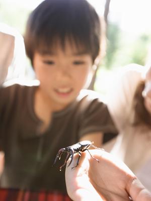 静岡県三島市のビジネスホテル「東横INN富士山三島駅」の完全ガイド