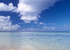 中津駅前の快適なビジネスホテル｜東横INN大分中津駅前の魅力と特徴