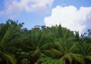 福山駅近くのビジネスホテル｜東横INN福山駅新幹線南口の魅力と詳細情報