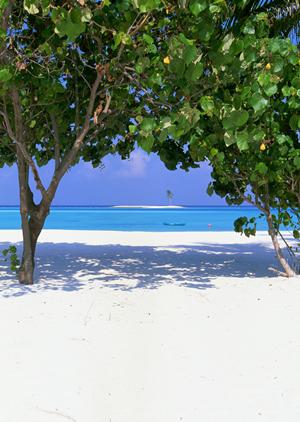 【公式】東横INN東京秋川駅北口：アクセス便利なビジネス＆観光に最適なホテルの魅力