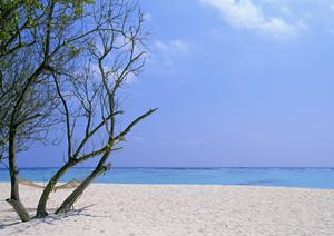大阪・新大阪エリアのビジネスホテル｜東横INN新大阪東三国駅前の魅力と詳細ガイド