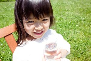 札幌中心部に位置する「からくさホテル札幌」の魅力と最新情報｜快適な滞在とアクセス抜群の宿泊体験