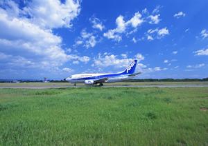 2026年最新版：千葉で楽しむ絶景グランピングスポット徹底ガイド