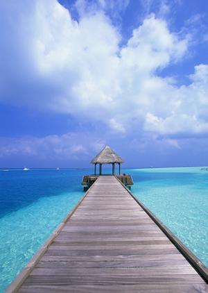 住友不動産ヴィラフォンテーヌ羽田空港第3ターミナル直結の魅力と詳細情報