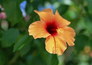 2026年最新｜代官山のフォトスタジオ徹底比較！写真映えと撮影テクニックを極めるガイド